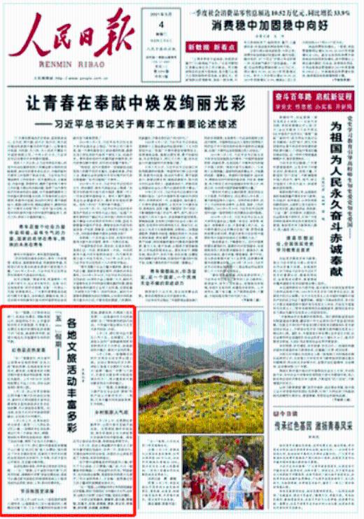救援花栗鼠